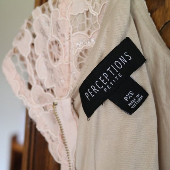 PERCEPTIONS New York Blush Nude Lace Sheath Dress - NWT! - Picture 13 of 16